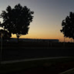 Meet your Posher, Daijah